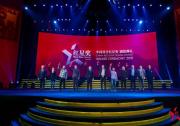 為品牌兩周年獻禮 VV7榮獲中國設計紅星獎金獎
